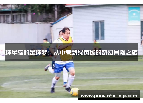 球星猫的足球梦：从小巷到绿茵场的奇幻冒险之旅